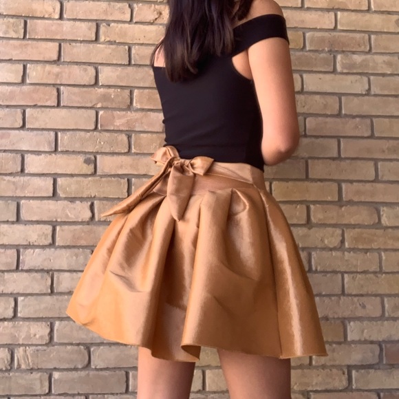 Gold Skirt - Picture 2 of 3
